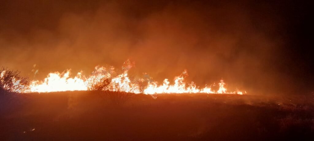 Pavoroso incendio se desató hoy a la madrugada en Trampa del Tigre WhatsApp Image 2023 09 18 at 12.48.16 AM