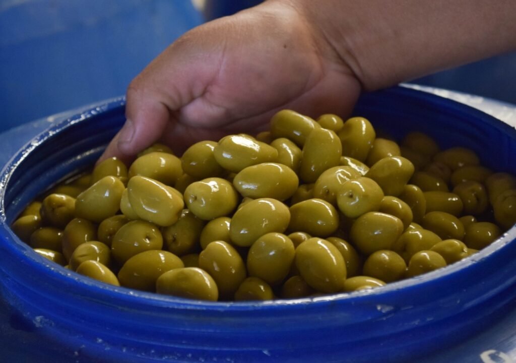 WhatsApp Image 2023 09 26 at 10.42.13 AM