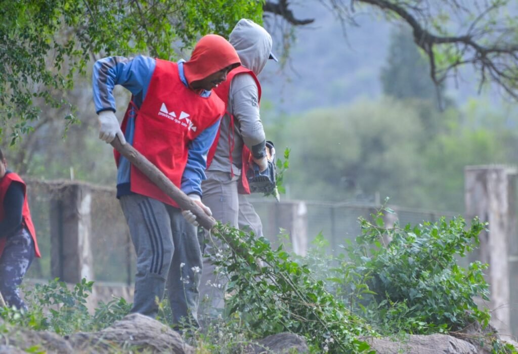 Realizan limpieza y desmalezamiento en la zona de Las Padercitas 391572537 786078113525745 9126718496634381794 n