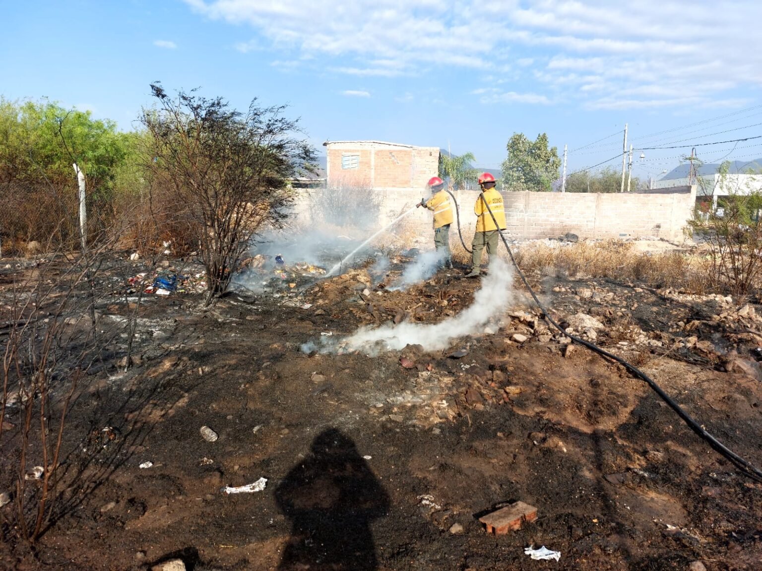 Vicky incendio forestal I