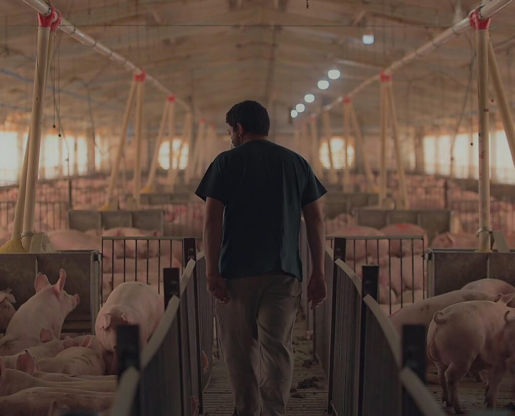 WhatsApp Image 2023 10 02 at 2.16.06 PM