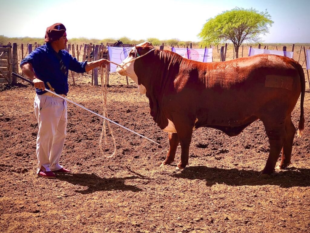 WhatsApp Image 2023 10 06 at 8.51.32 PM