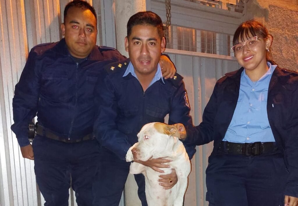 WhatsApp Image 2023 10 12 at 10.04.41 AM