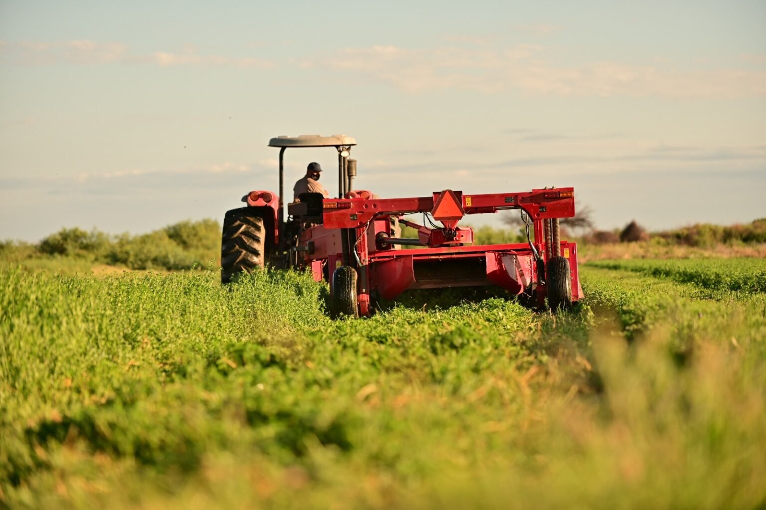 WhatsApp Image 2023 10 25 at 1.18.54 PM