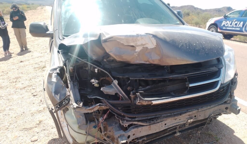 Una familia sufrió lesiones tras chocar contra un animal suelto en la Ruta WhatsApp Image 2023 11 01 at 7.45.21 PM