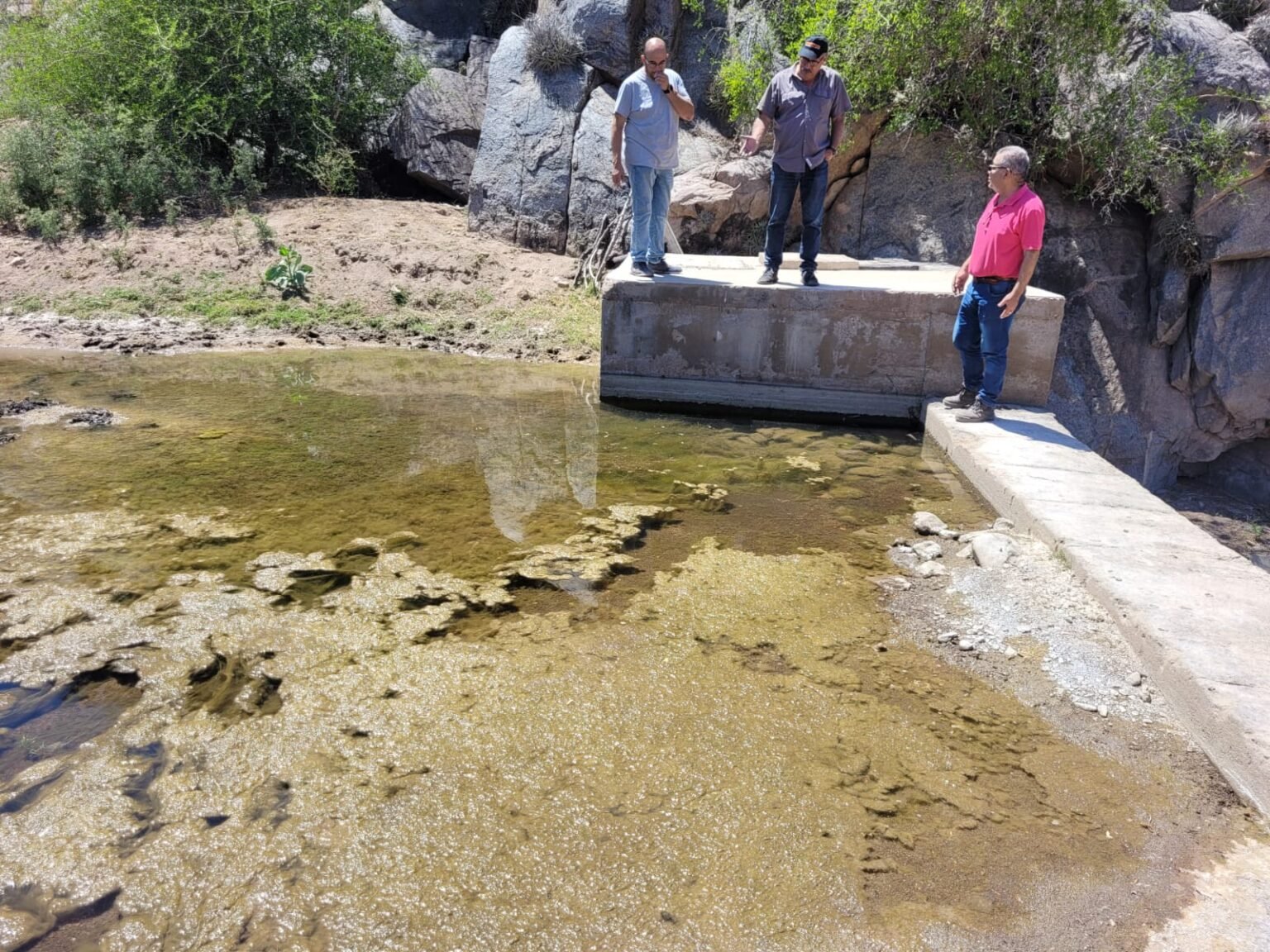 WhatsApp Image 2023 11 13 at 9.23.15 PM