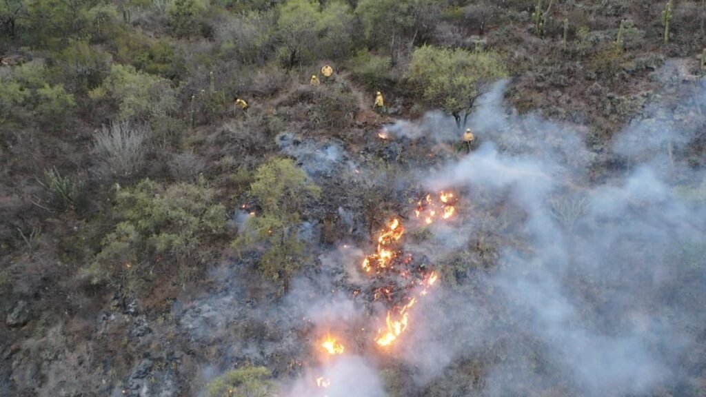 Recomiendan una serie de medidas para prevenir los incendios forestales y en zonas urbanas incendio