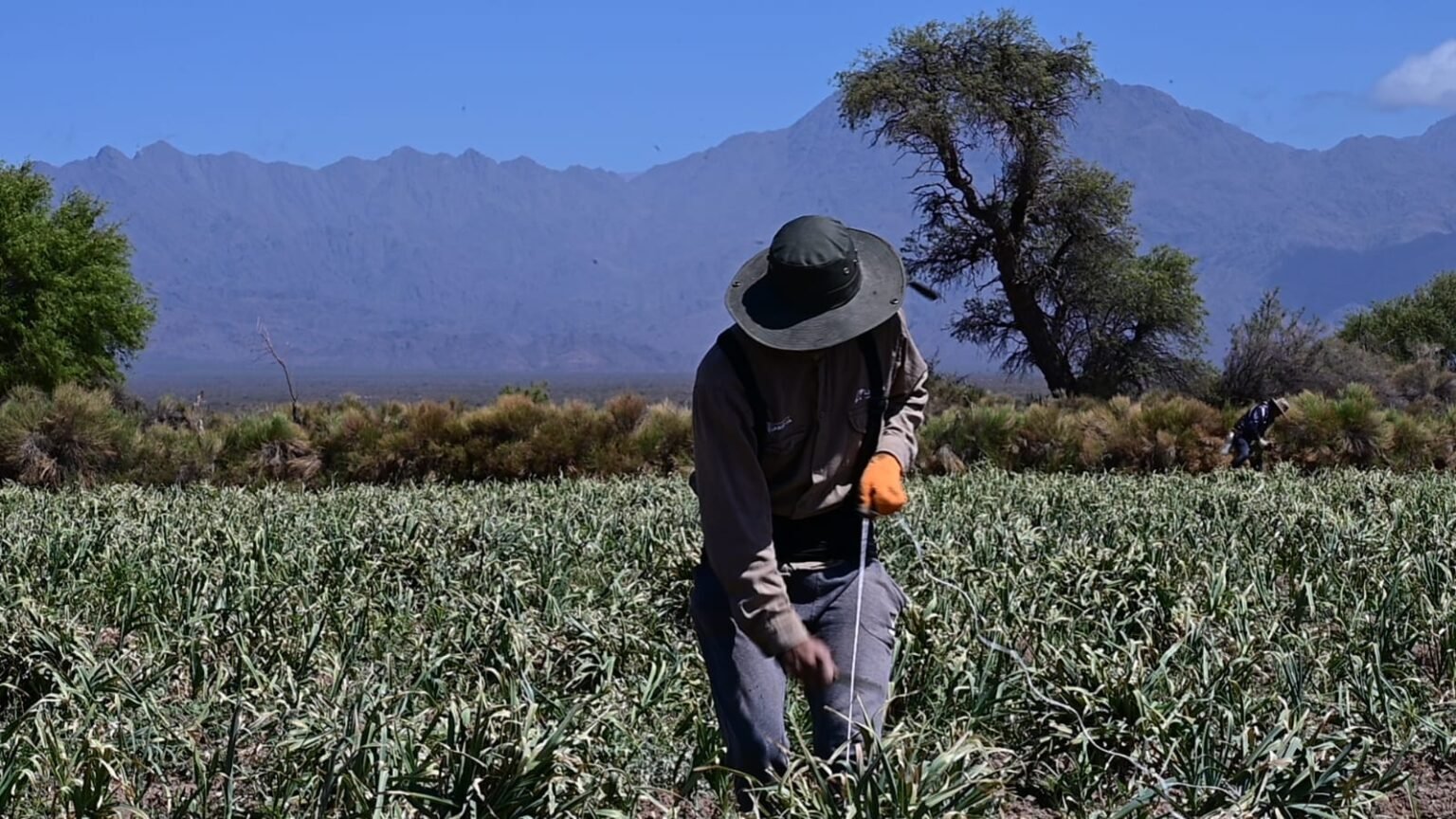 398566363 283118108036339 3878622287056254645 n