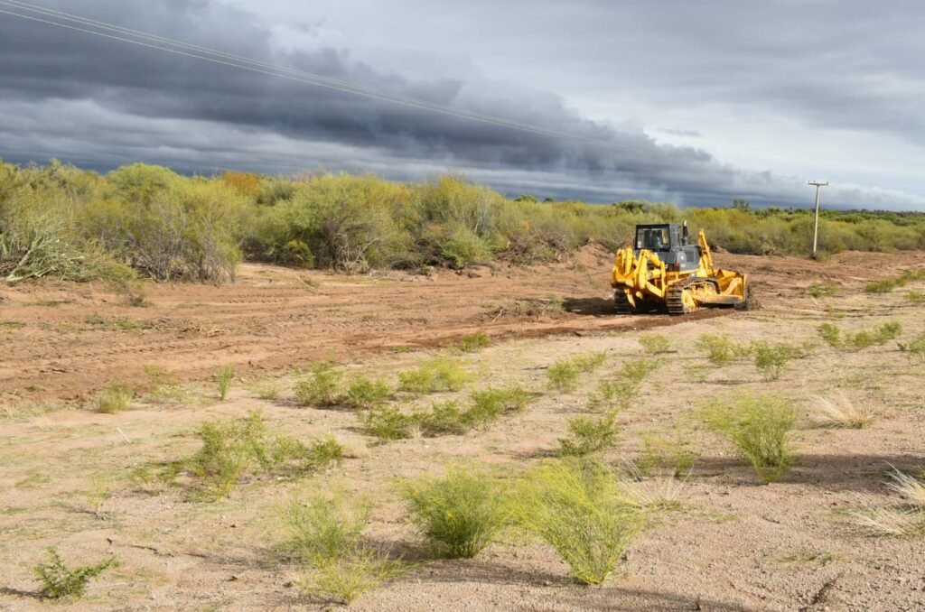 WhatsApp Image 2023 12 06 at 11.08.24 AM