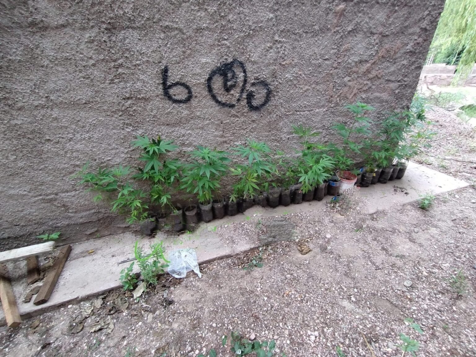 WhatsApp Image 2023 12 19 at 10.12.43 AM