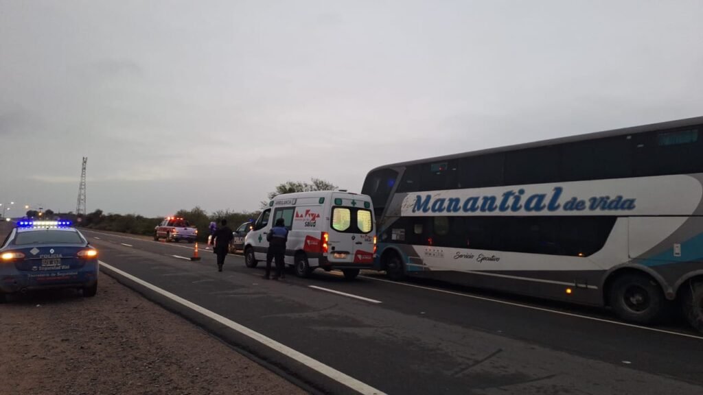 Colectivo de larga distancia embistió un animal suelto en Ruta 38: no hubo heridos WhatsApp Image 2023 12 20 at 8.25.56 AM