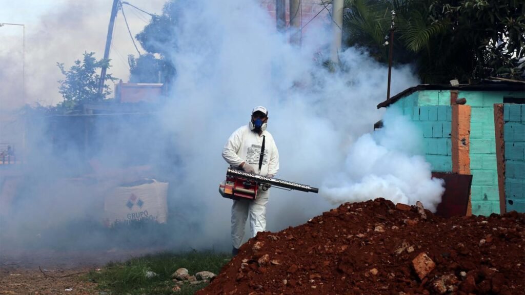 Dengue: cuidados, síntomas y vacuna dengue si