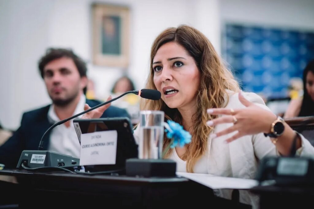 Para Ortiz, Milei con el DNU “se arroga facultades que no le son propias al presidente de la Nación” lourdes ortiz