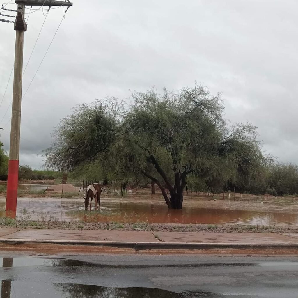 El Gobierno Provincial realizará relevamiento social en zonas rurales y asentamientos FB IMG 1704453921792