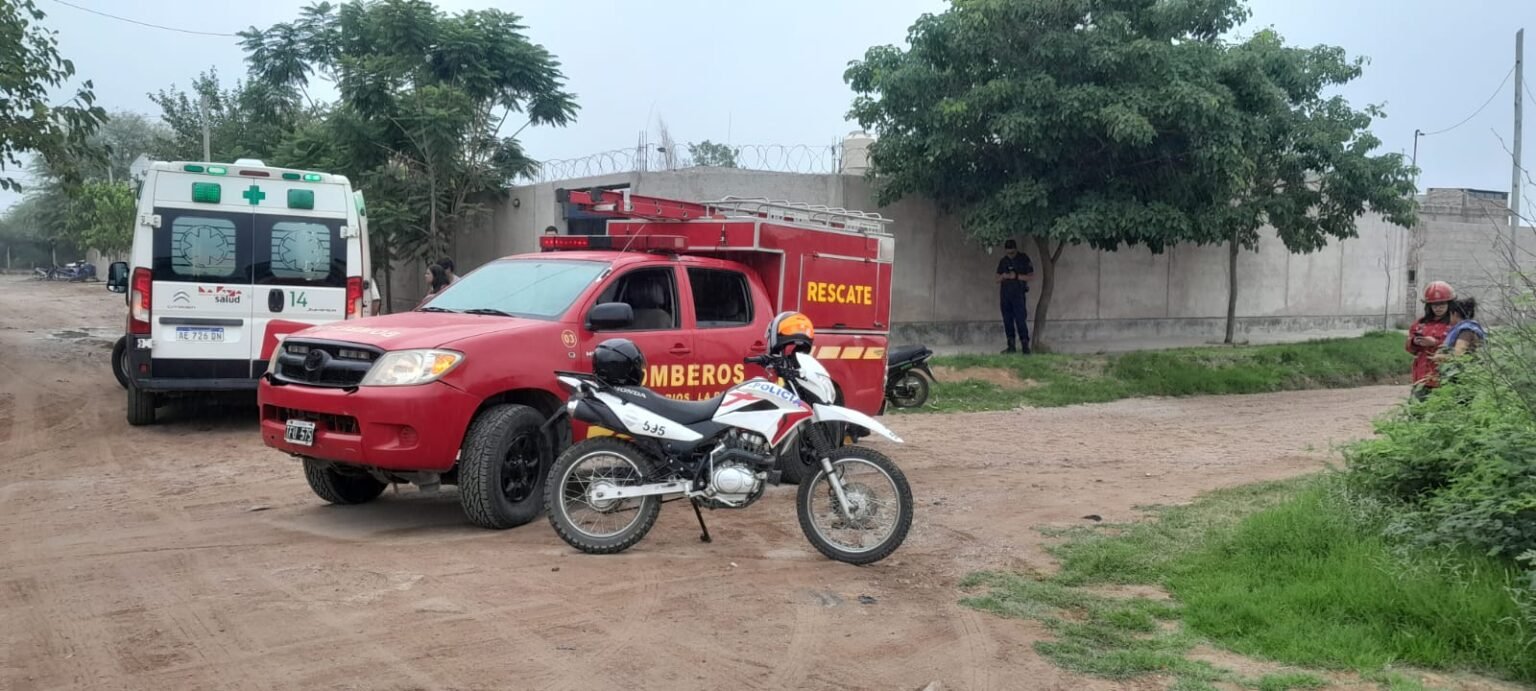 WhatsApp Image 2024 01 10 at 6.31.44 PM