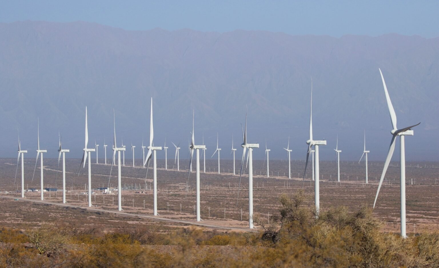 WhatsApp Image 2024 01 29 at 12.03.57 PM