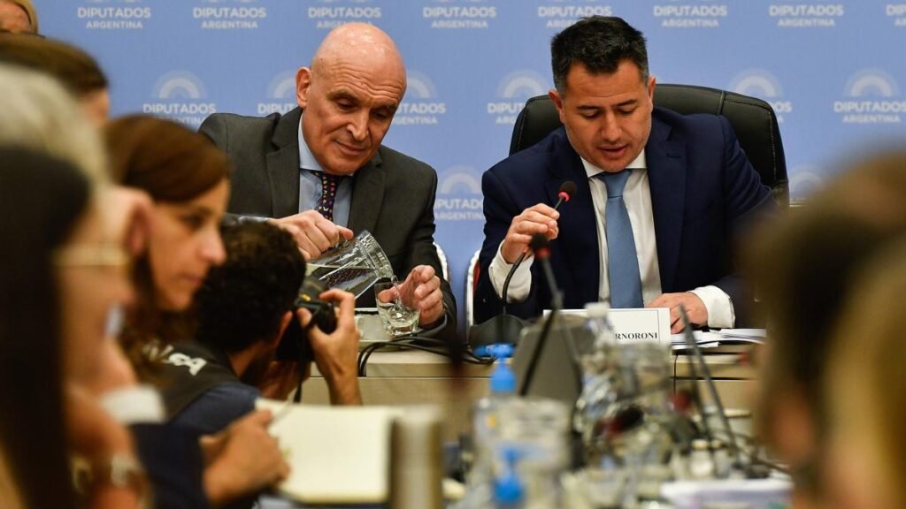 Ley ómnibus: LLA confía en que conseguirá las adhesiones de la UCR diputados 1