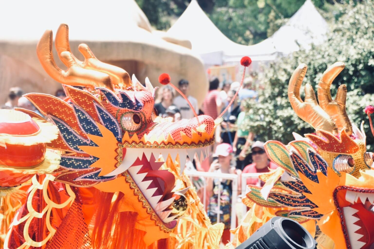 Celebran el Año Nuevo chino con danzas, shows y comida típica en CABA y las provincias 20240203 181945