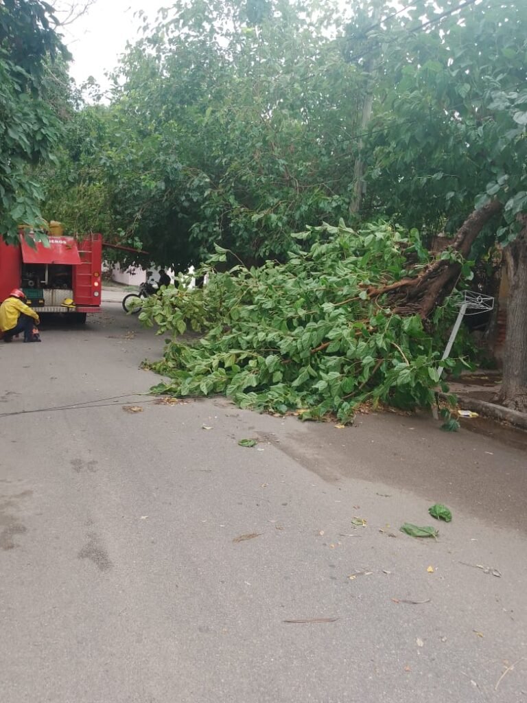 WhatsApp Image 2024 02 06 at 12.56.35 PM