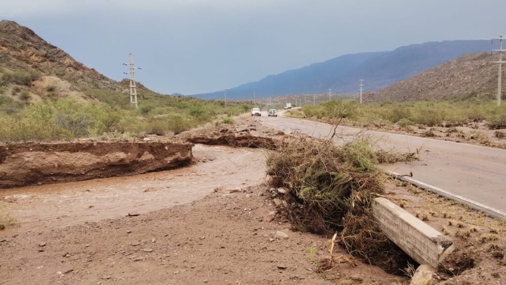 WhatsApp Image 2024 02 08 at 7.10.08 PM