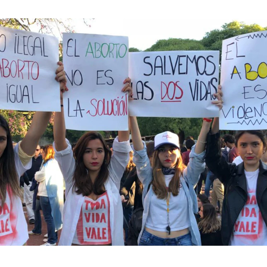 1565880331517 Thumbnail provida