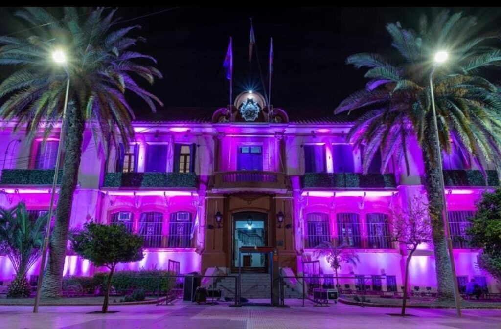 El gobierno provincial se suma a conmemorar el Purple Day IMG 20240326 WA0034