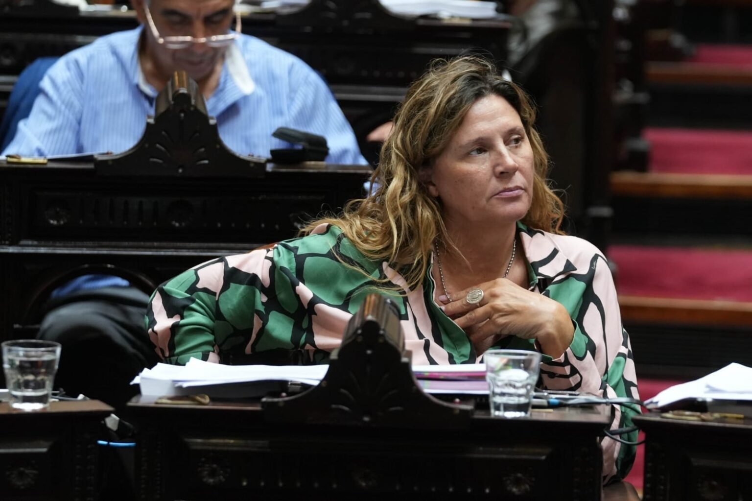 Pedrali: “Vamos a hacer un dictamen de rechazo a la Ley Ómnibus” Pedralli