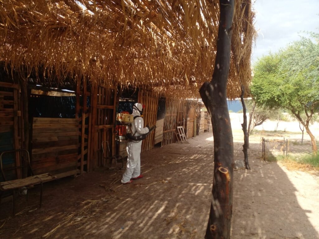 Realizan acciones para evitar la proliferación del mosquito transmisor del Dengue en Arauco WhatsApp Image 2024 04 03 at 8.30.01 AM