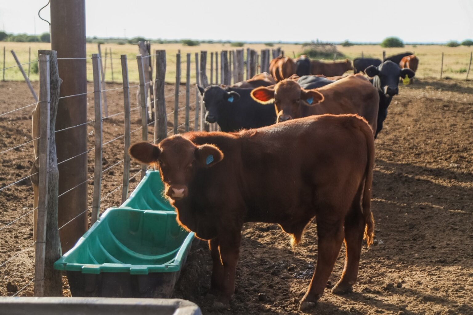 WhatsApp Image 2024 04 16 at 3.49.13 PM