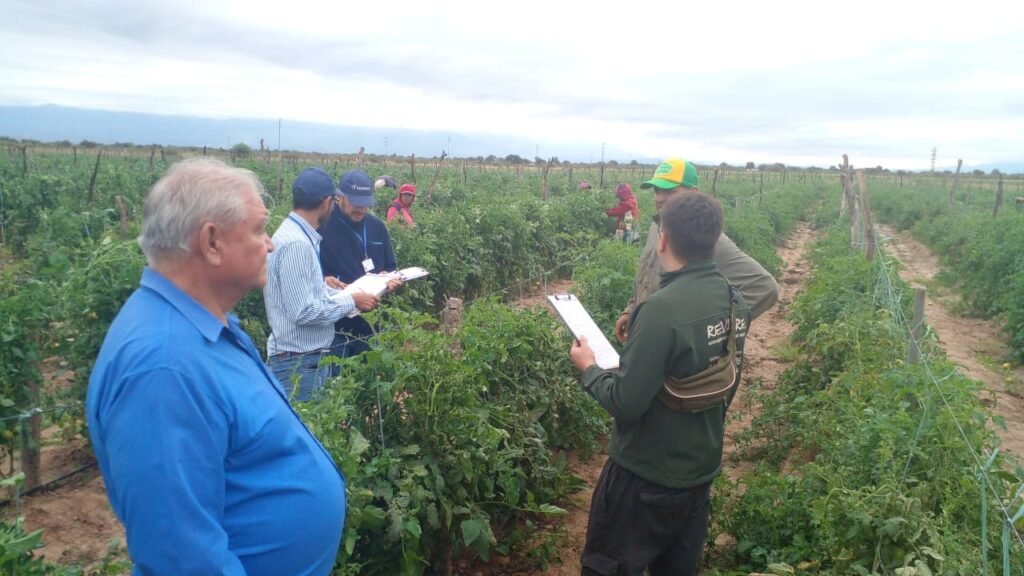 Detectan 13 trabajadores rurales en condiciones irregulares en fincas hortícolas de La Rioja WhatsApp Image 2024 04 29 at 8.20.33 AM