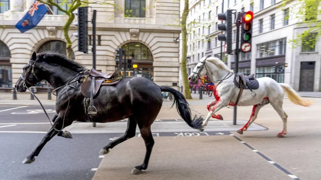 caballos londres