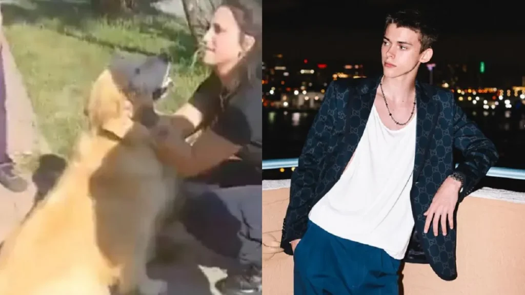 Tajante advertencia de Felipe Fort al hombre que rescató al perro que una mujer intentó faenar felipe fort perro la plata faenarjpg