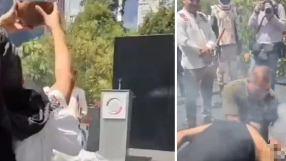 México: escándalo por el sacrificio de una gallina en el Senado gallina