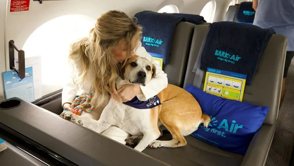 EE.UU: lanzan una nueva aerolínea de lujo para perros vuelo perro