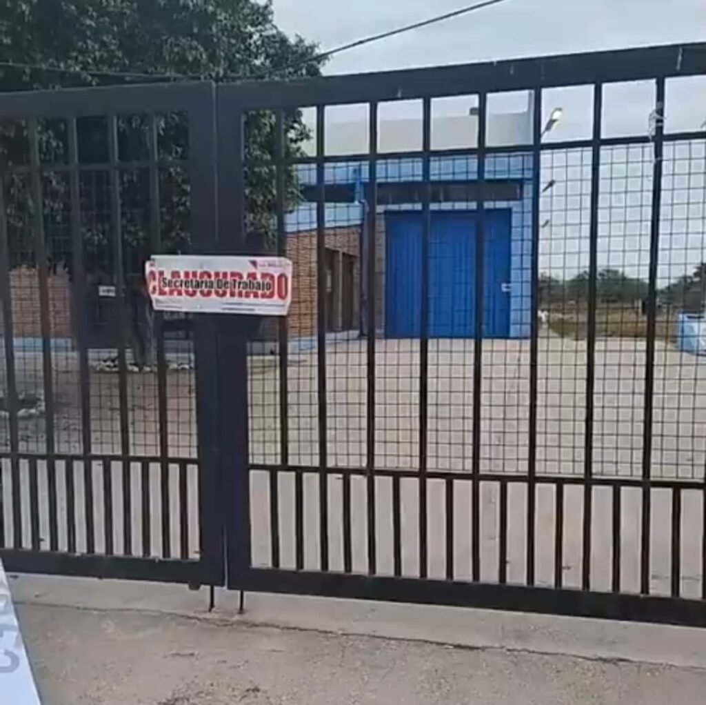 441505602 938130994987122 8566731711800523868 n