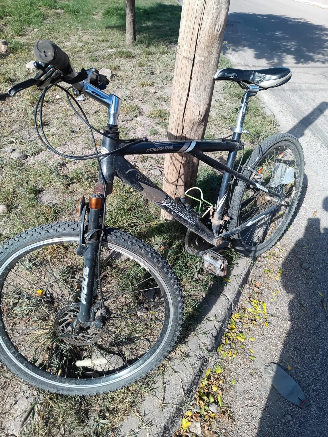 WhatsApp Image 2024 05 08 at 11.45.28 AM