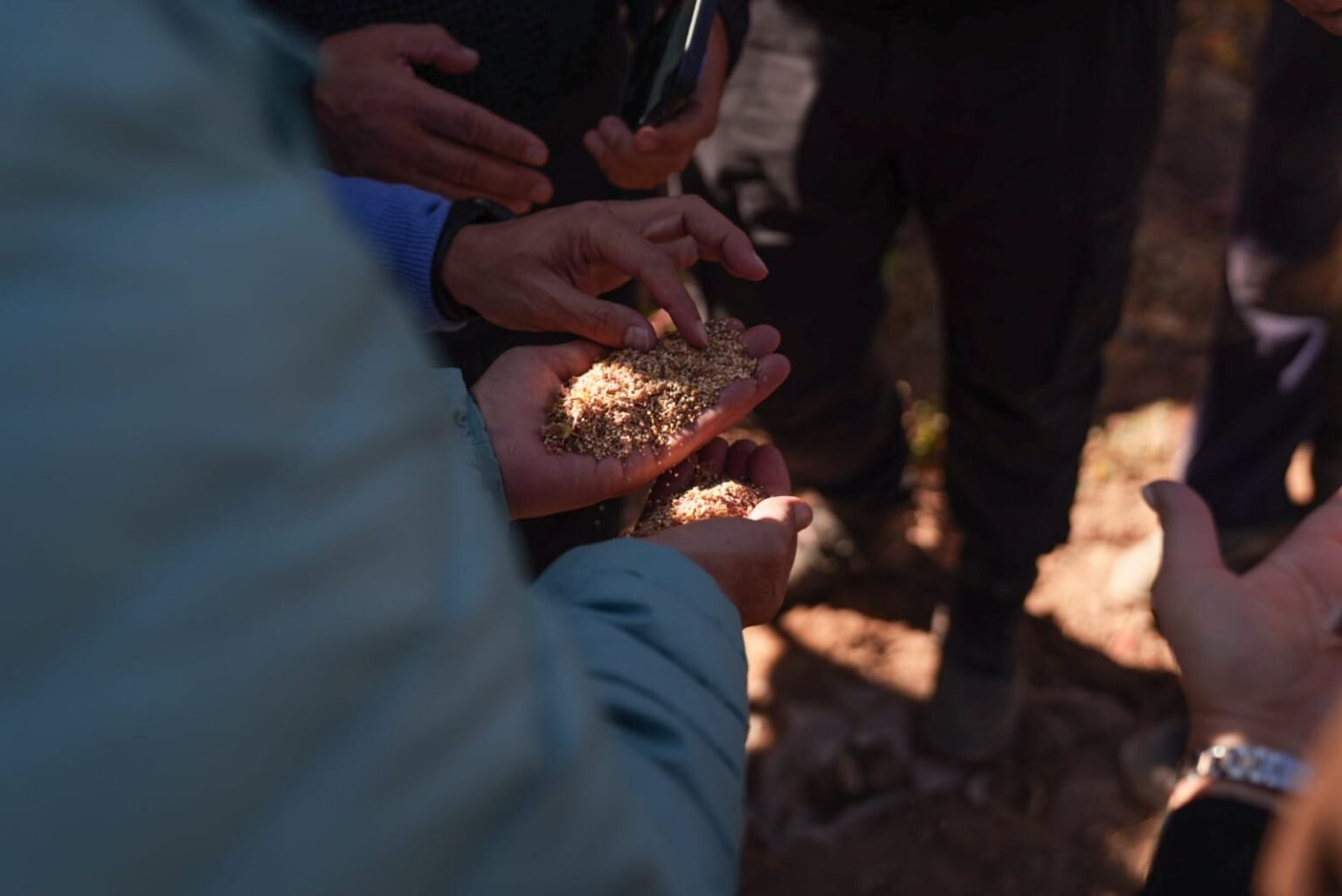 WhatsApp Image 2024 05 29 at 8.09.15 PM