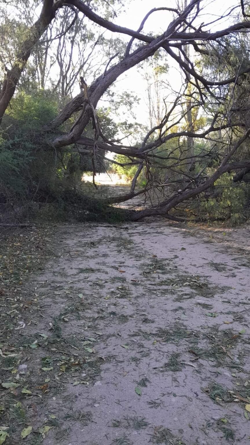 El Zonda provocó desastres en la Costa Riojana costa