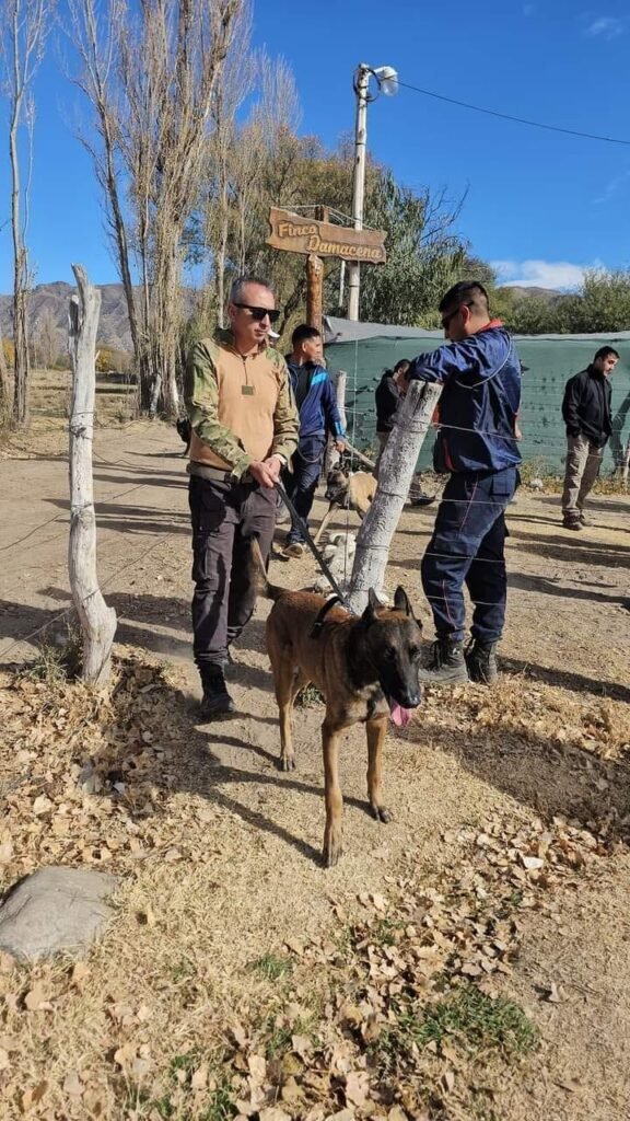 448564552 956751706458384 1764208849461108040 n