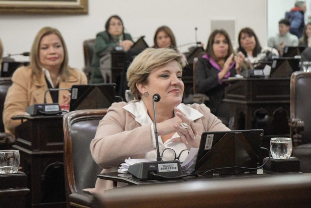 Reforma de la Constitución: “Estamos muy contentos porque ha sido un proceso realmente ordenado, transparente y prolijo” IMG 20240713 WA0005