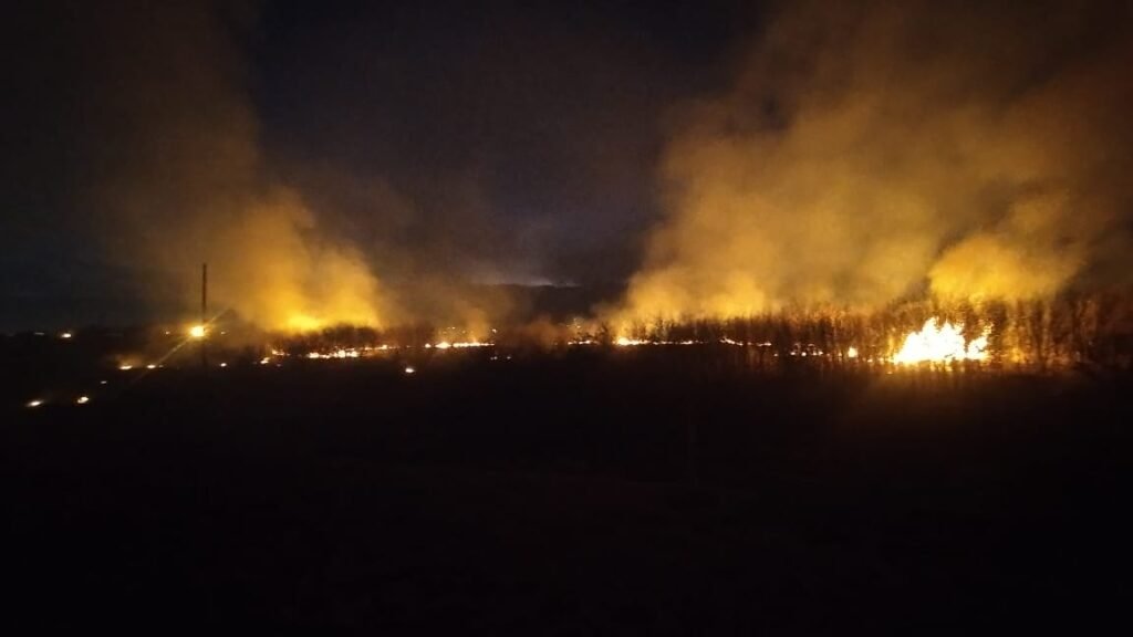 Se produce un incendio de gran magnitud en cercanías al aeropuerto IMG 20240714 WA0020