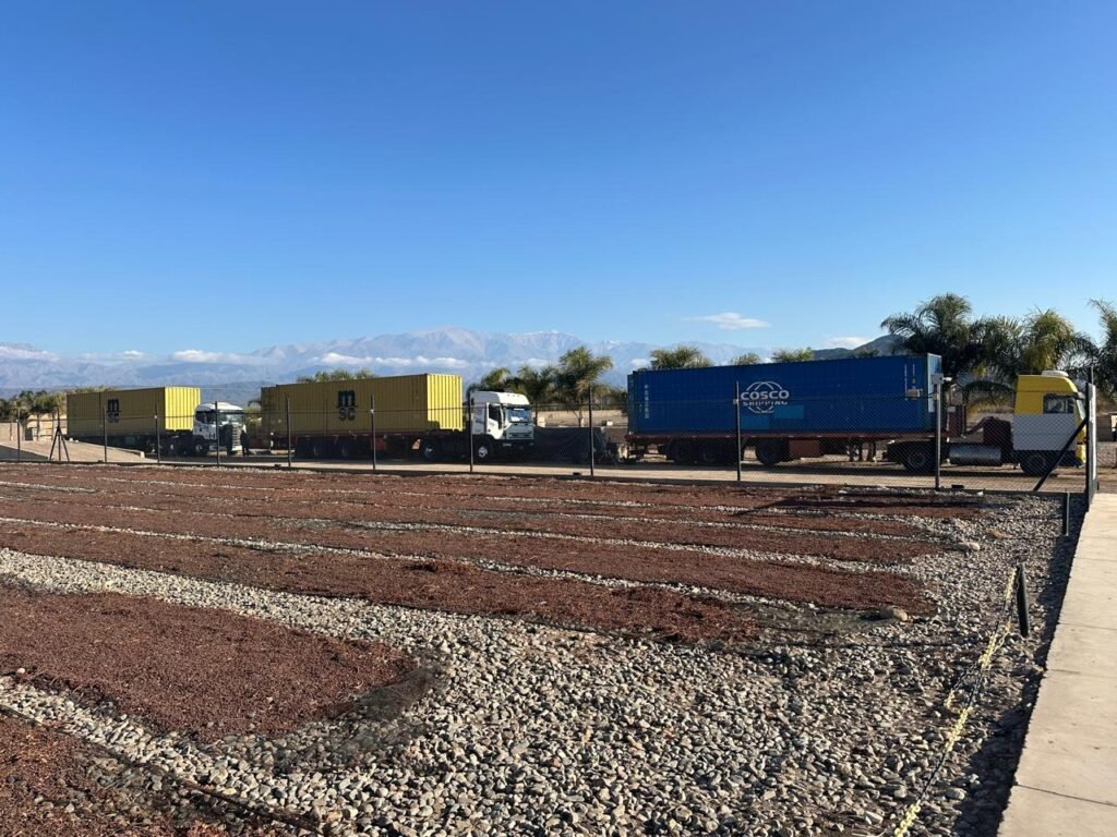 WhatsApp Image 2024 07 26 at 1.30.22 PM