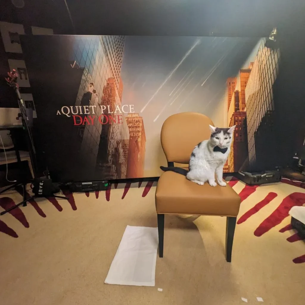 savefrodo aquietplace dayone