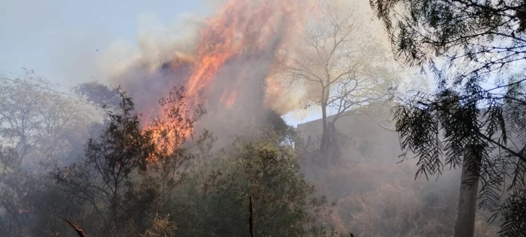 Sofocaron tres focos de incendio en la Capital IMG 20240828 WA0060