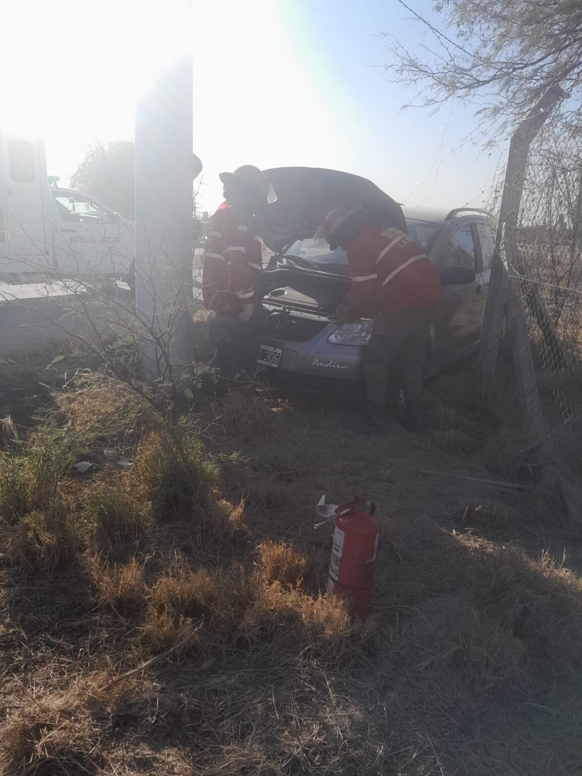 Vicky trampA del Tigre