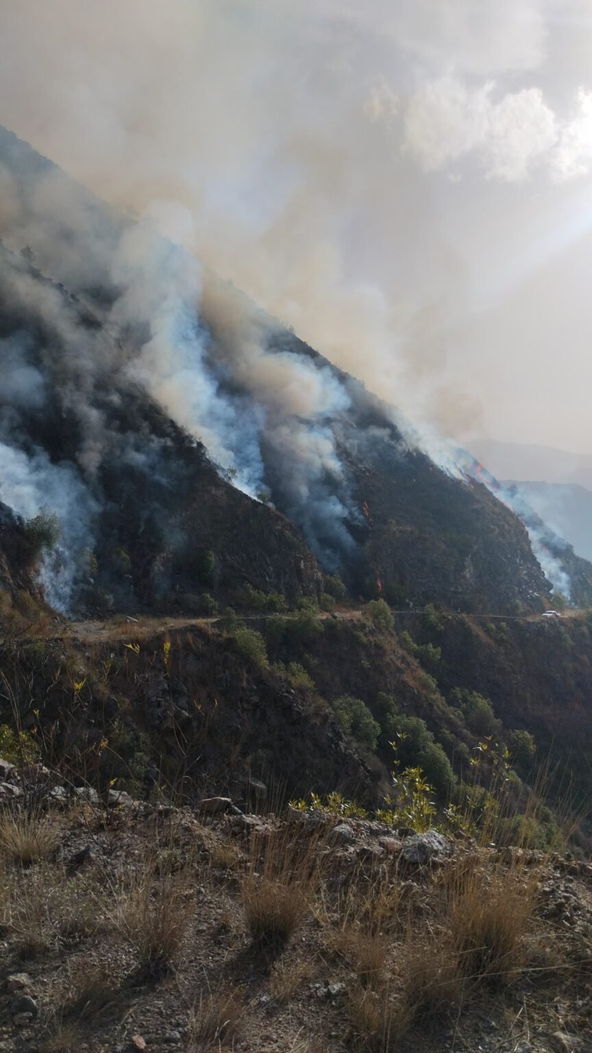 WhatsApp Image 2024 08 02 at 5.04.39 PM