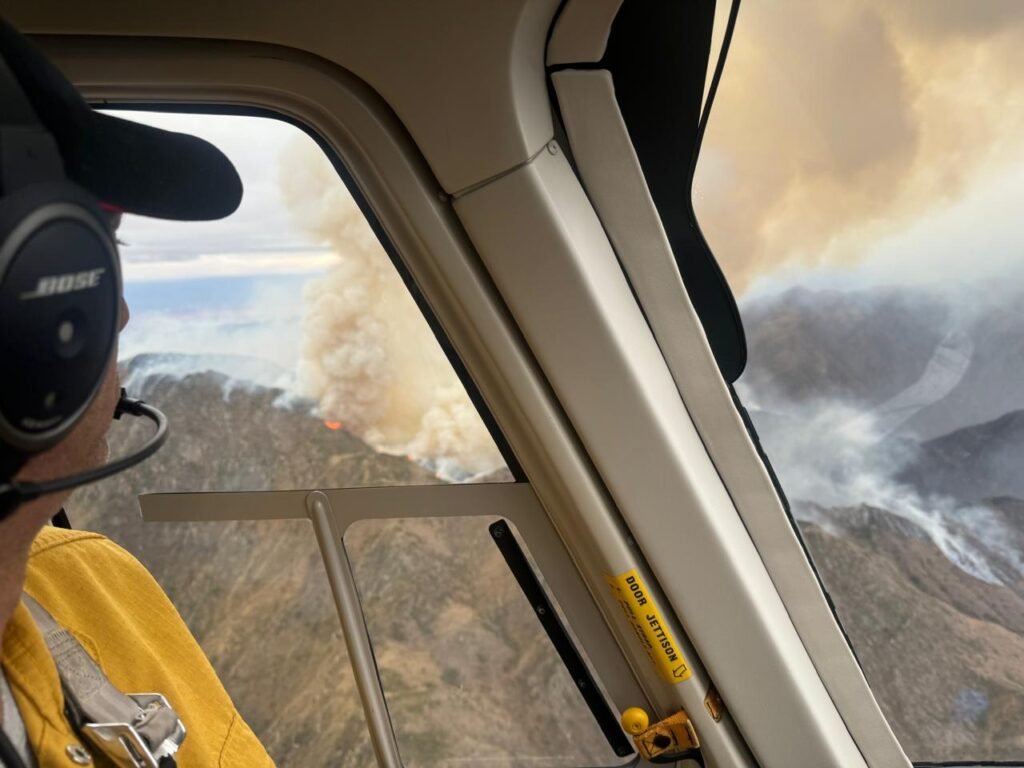 WhatsApp Image 2024 08 13 at 8.55.34 PM