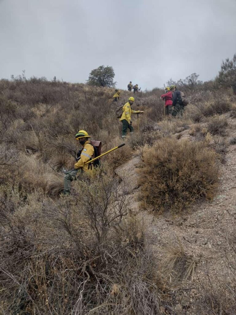 WhatsApp Image 2024 08 23 at 7.41.11 PM