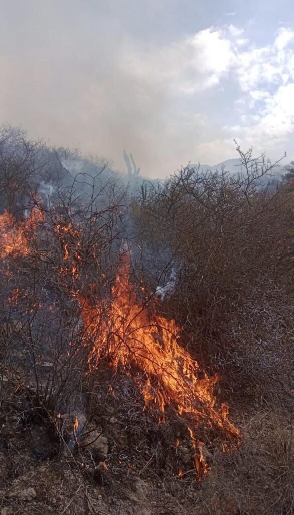 Siguen las tareas para sofocar el incendio en el cordón del Velasco WhatsApp Image 2024 08 30 at 7.22.46 AM