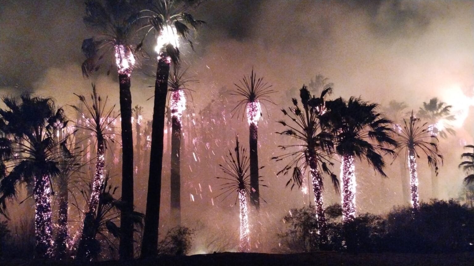 Feroz incendio azota al Parque Los Nacimientos en Arauco incendio arauco